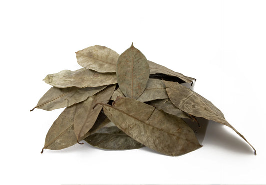 Soursop leaves dried 5g